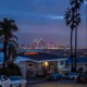 Palm Tree Music EP