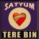 Tere Bin Single