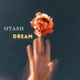 Dream Single