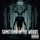 Something in the Woods EP