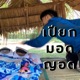 เป ยกมอดญอด feat Spluckwalker Reech Single