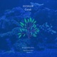 Coral Single