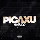 PICAXU Single