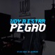 Voy a Estar Pegao feat LOKOWENN Single