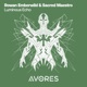 Luminous Echo Single