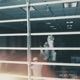 Dead Malls Single