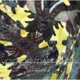 Void Of Machinery Single