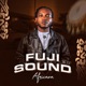Fuji Sound EP