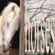 Horses Single