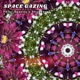 Space Gazing Single