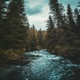 Gentle Waters Single
