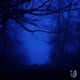 Low Battery Dreams Single