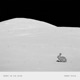Bunny On The Moon