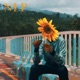 Days Around the Sun