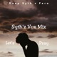 Let s Pray Syth z Vox Mix Single