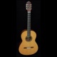 Classical Guitar Sampler