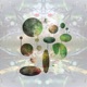 Starflower