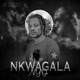Nkwagala Nyo Single