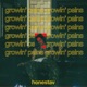 Growin Pains Single