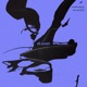 Last Notice Single