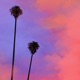 The Vibe feat Nico Sweet Single