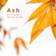 Ash Single