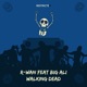 Walking Dead feat Big Ali Single
