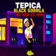 Mi Vida Es Mia feat Black Gorrila Single