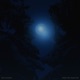 when the moon fell Single