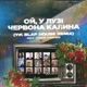 Ой у лузі червона калина y k slap house remix Single feat Андрій Хливнюк Single