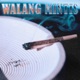 Walang Mintis Single