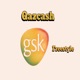GSK Freestyle Single