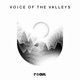 Voice of the Valleys Single