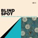 Blind Spot feat Nick Moran Dayna Stephens Ingrid Jensen Adam Nussbaum Single