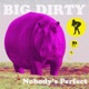 Nobody s Perfect