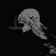 Tugend voller Leid Single