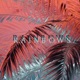 Rainbows feat Straun OzVincent Single