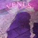 Venus Single