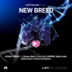 Rise Again Single