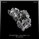 Blvmenkind Single