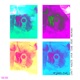 Don t Waste Your Time feat Redwan Single
