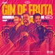 Gin De Fruta Remix Baile do Ed Single