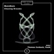 Chasing Dreams Single