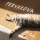 Про кота Single