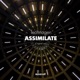 Assimilate Single