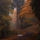 Herbst Single