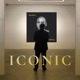 hàbitus ICONIC