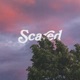 Scared Single