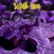 With You feat Rahc Wilson Myna Single