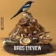 Birds Eyeview Single
